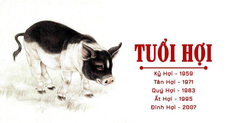 Tuổi Hợi sinh năm bao nhiêu?