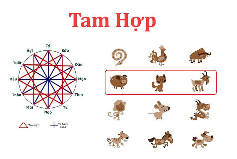 Tuổi Dê sinh tháng 9 âm lịch có nhiều vất vả