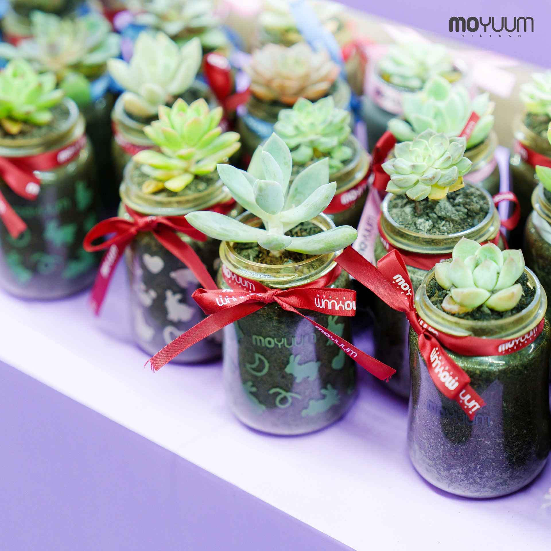 Hành trình cảm xúc và trải nghiệm đáng nhớ cùng Moyuum Vietnam tại Vietbaby Fair 2025