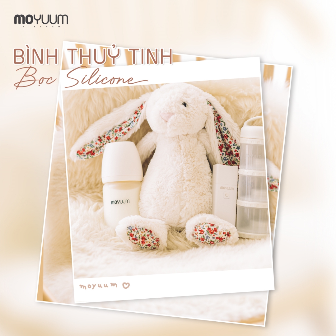 Giải mã “cơn sốt” và review chi tiết bình thủy tinh tráng silicon Moyuum