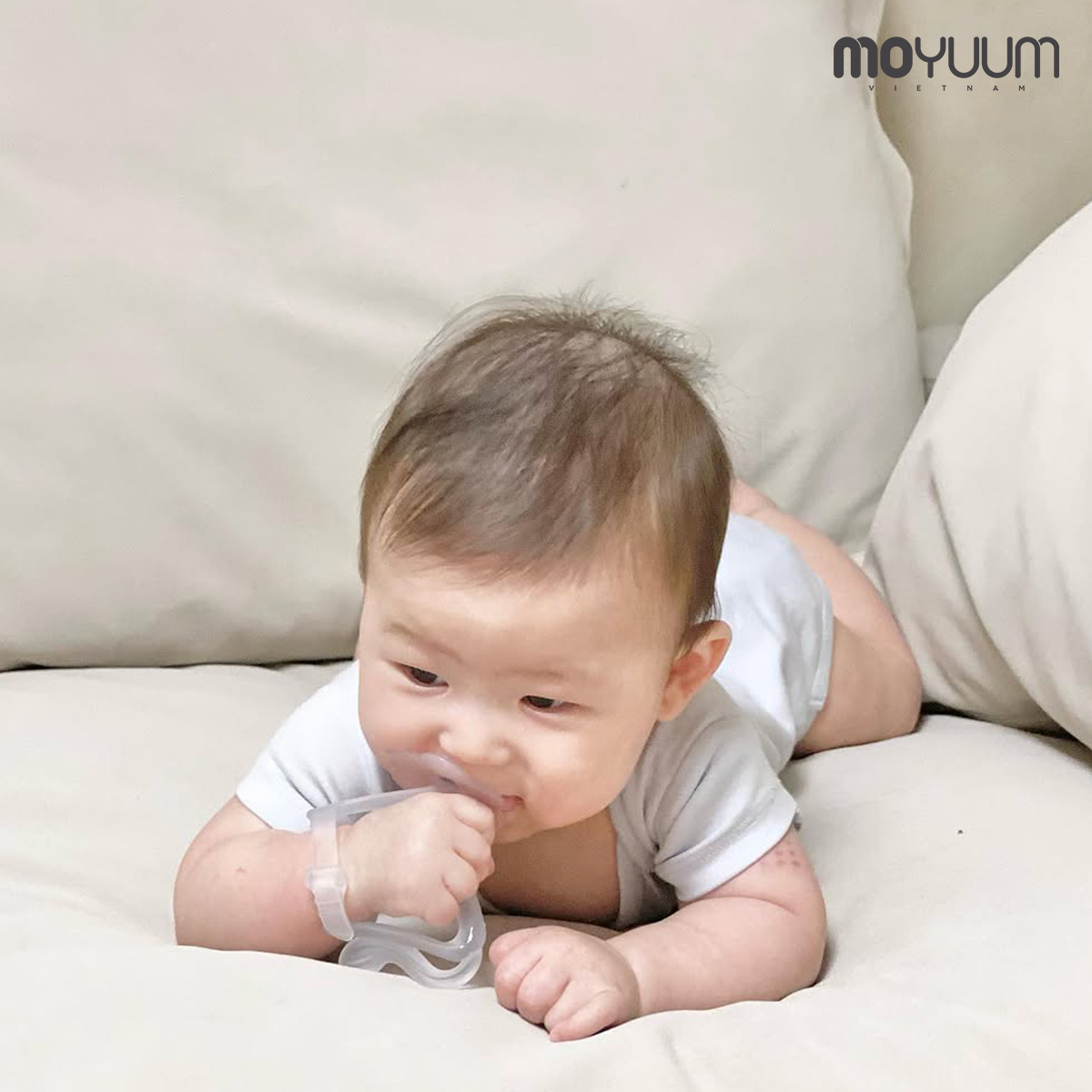 Gặm nướu sư tử – Món quà cho bé bước vào hành trình khám phá mới