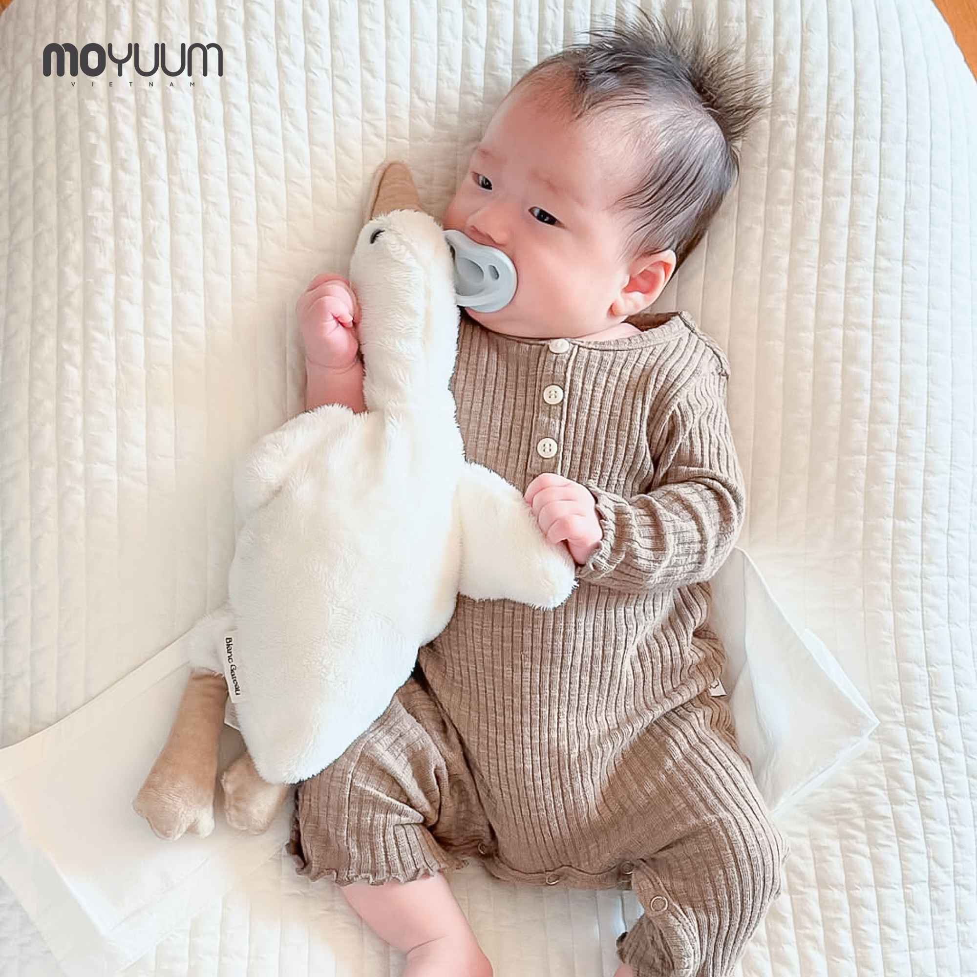 Ty ngậm silicone Moyuum và ty ngậm siêu nhẹ Moyuum: Nên chọn loại nào cho bé?