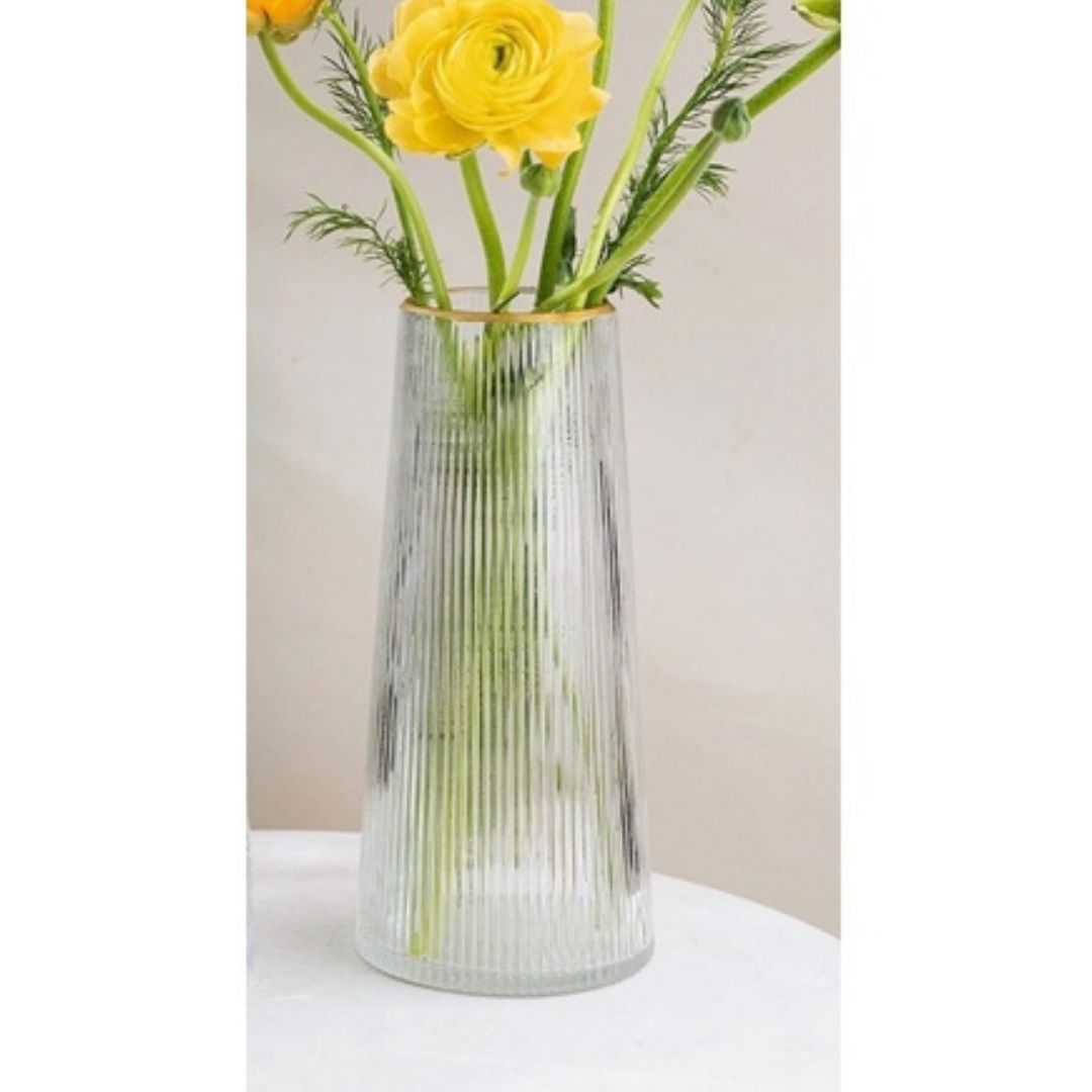 Bình hoa lọ hoa Thủy Tinh Đơn Giản Sáng Tạo Bình Trang Trí Phòng Khách