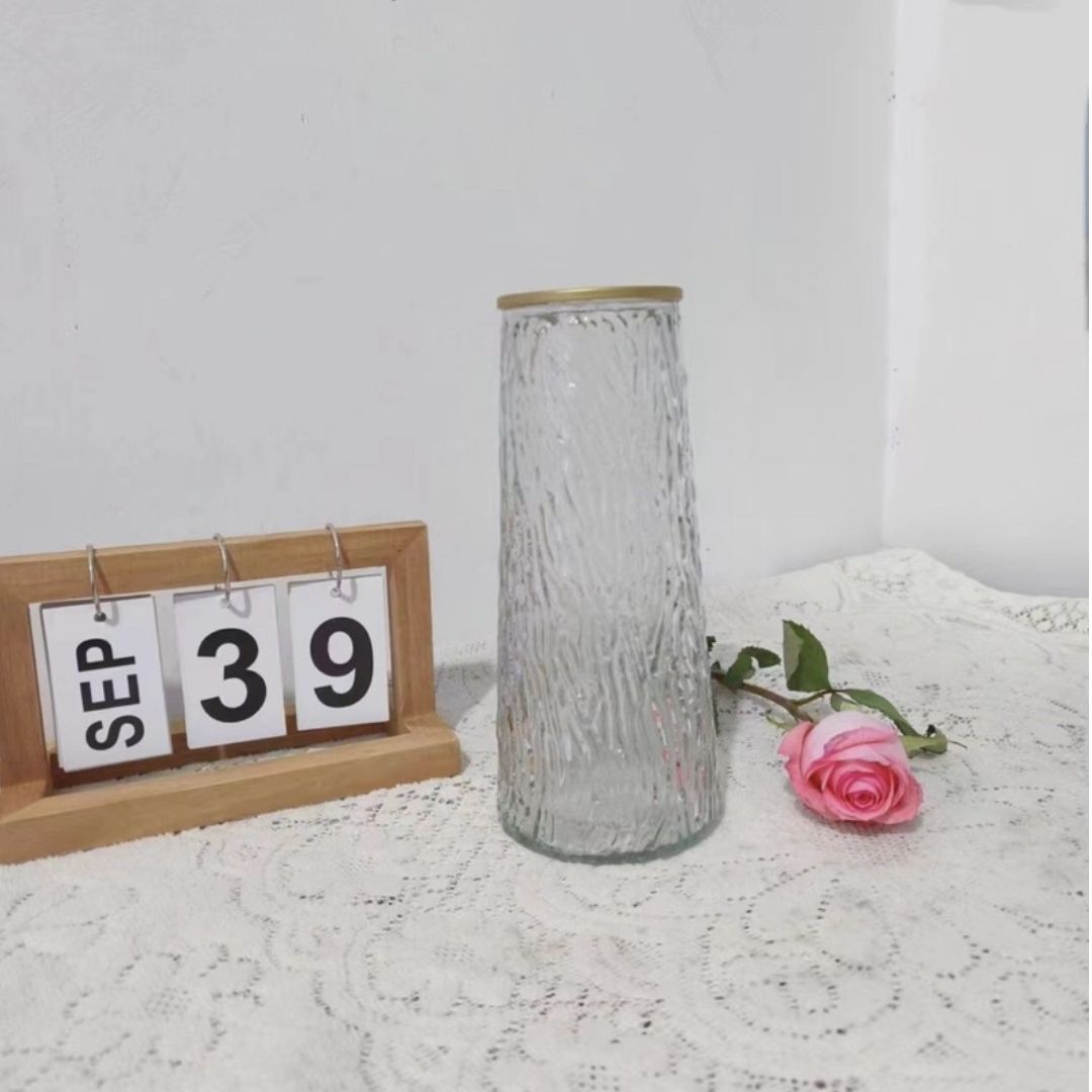 Bình hoa lọ hoa Thủy Tinh Đơn Giản Sáng Tạo Bình Trang Trí Phòng Khách