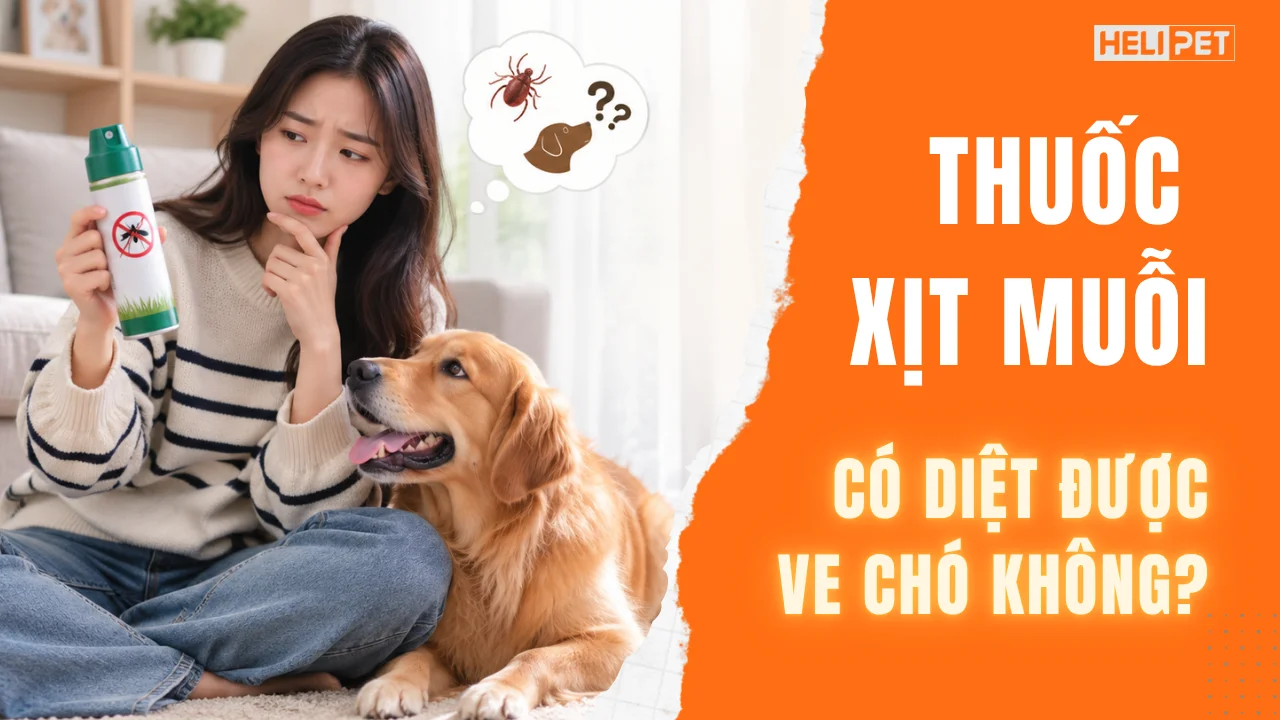Thuốc xịt muỗi có diệt được ve chó không? Có nên xịt lên chó?