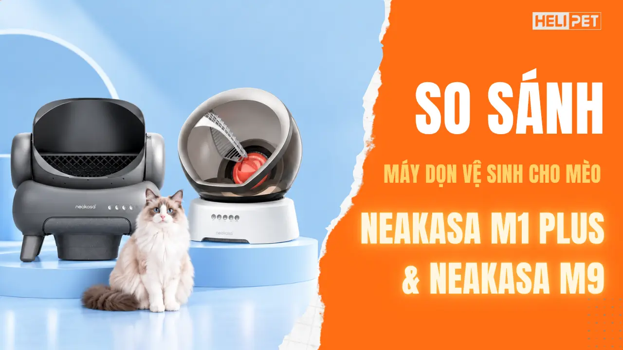 So sánh máy dọn vệ sinh Neakasa M1 Plus và Neakasa M9