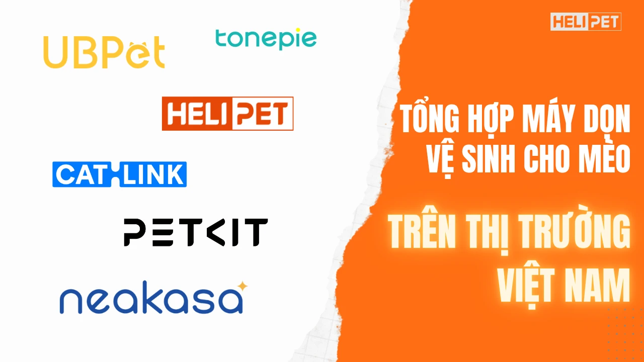 Tổng hợp máy dọn vệ sinh mèo từ các thương hiệu phổ biến tại Việt Nam