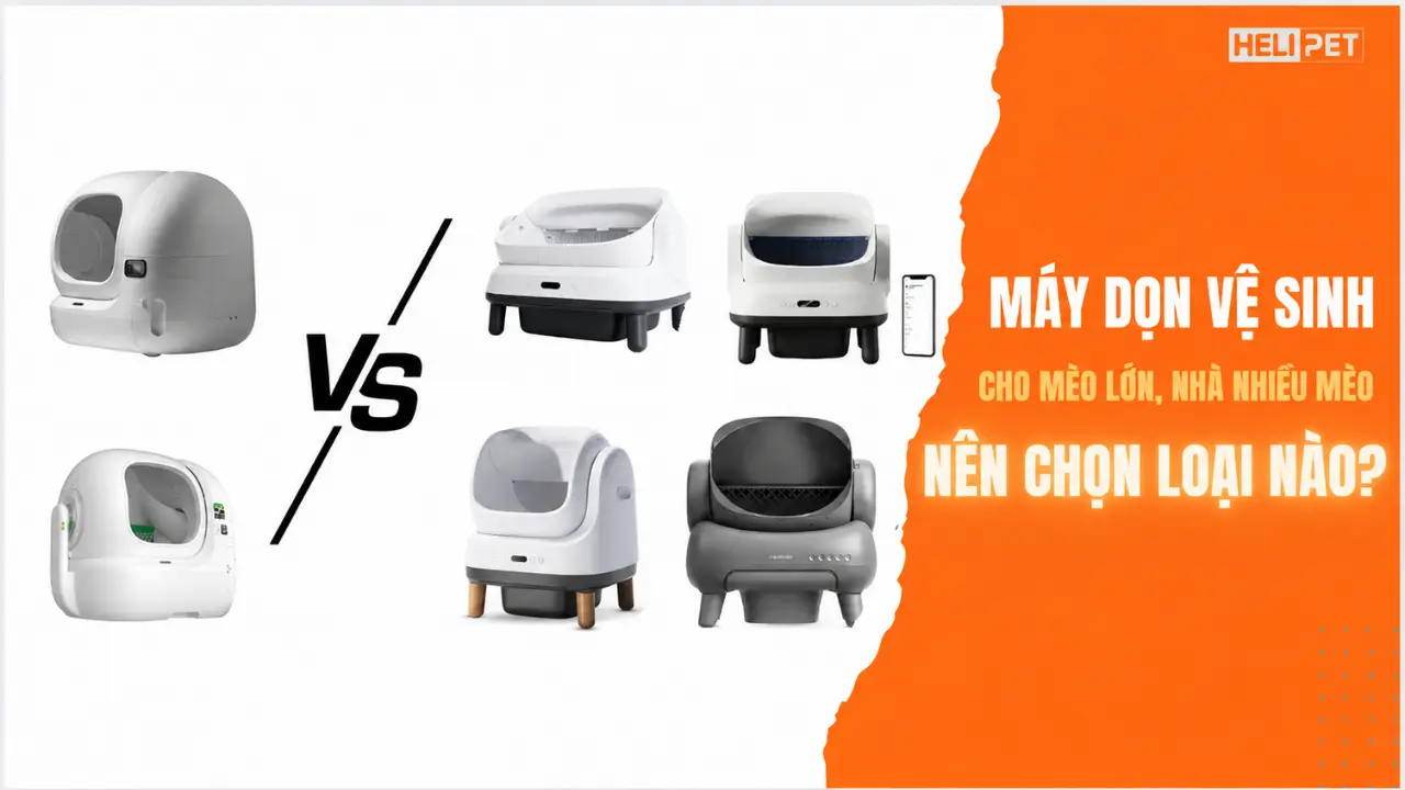 Đánh giá các máy dọn vệ sinh cho mèo lớn hoặc nhà nhiều mèo