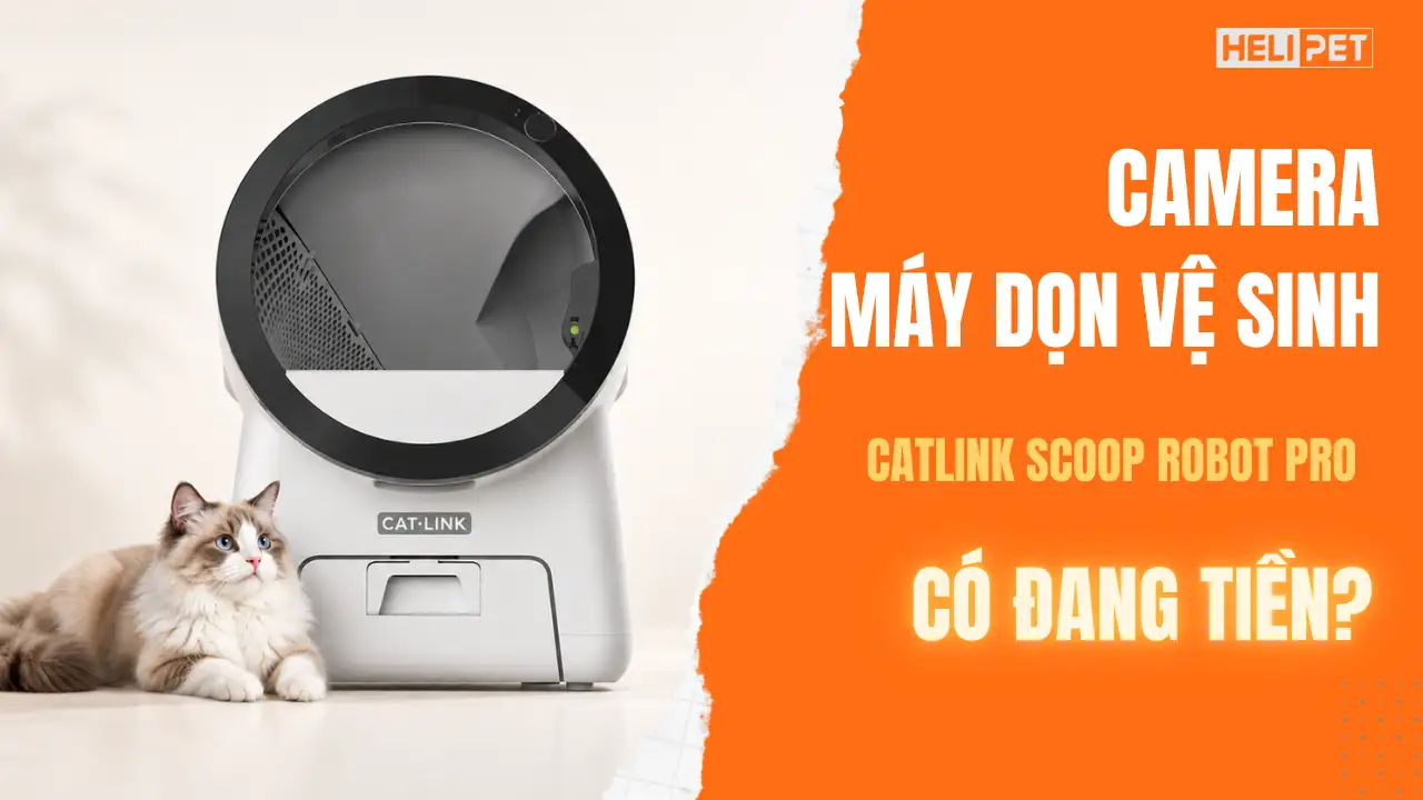 Camera máy dọn vệ sinh mèo Catlink Scoop Robot Pro đáng tiền ra sao?