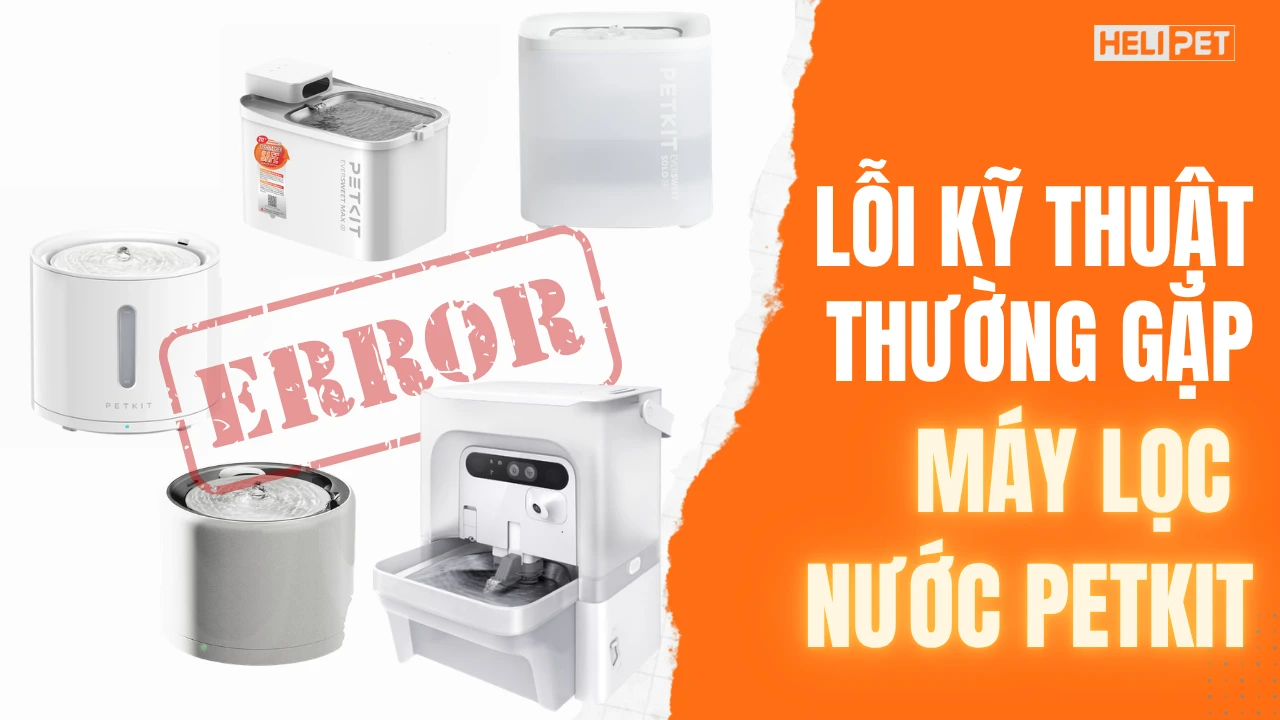 Cách khắc phục lỗi kỹ thuật thường gặp trên các máy lọc nước Petkit