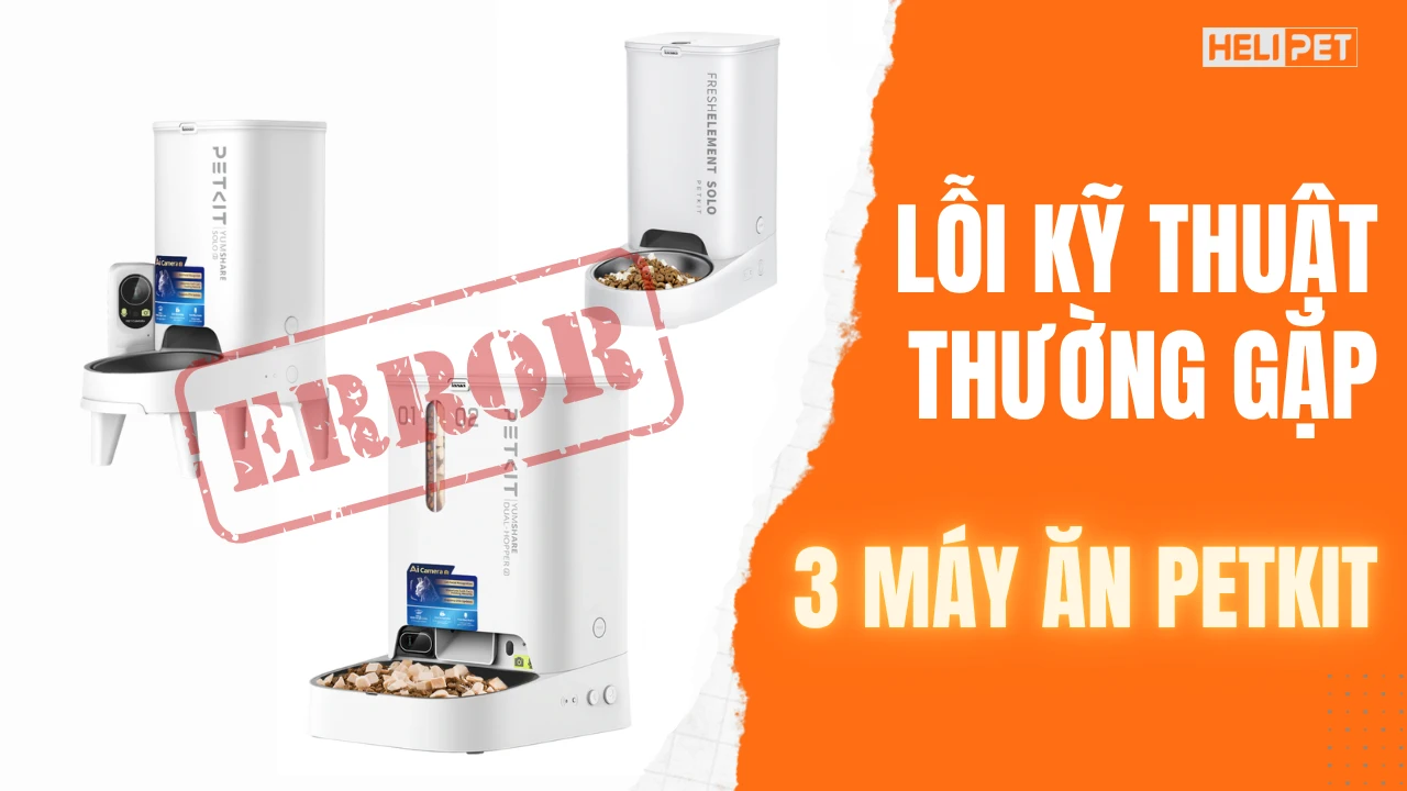 Cách khắc phục lỗi kỹ thuật thường gặp trên các máy ăn Petkit