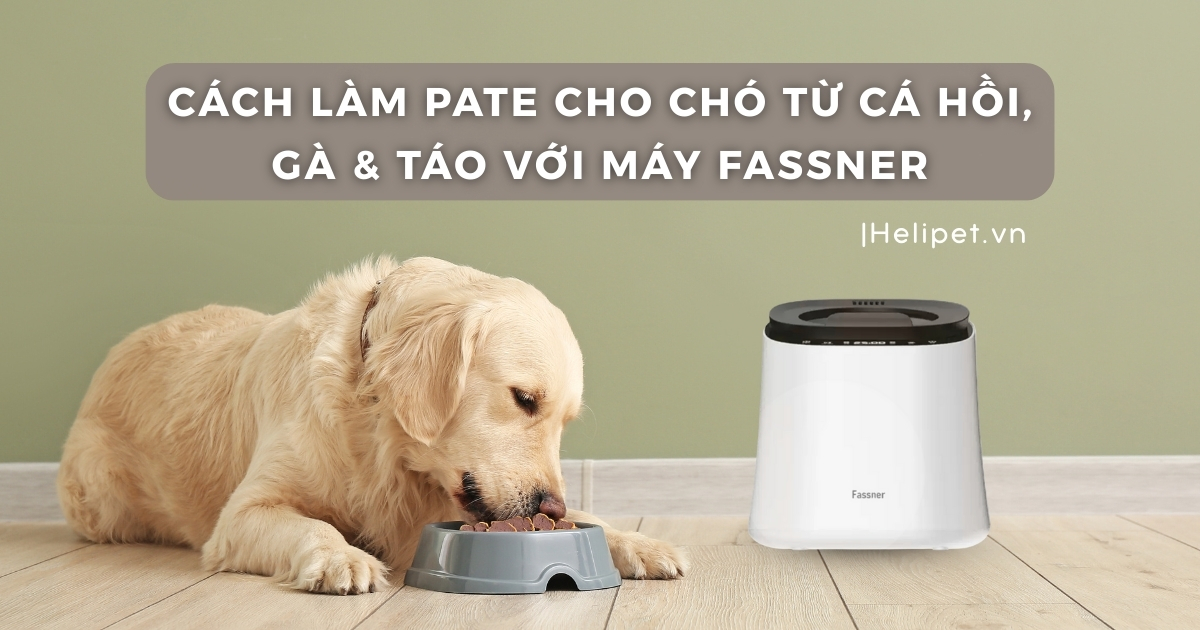 Cách Làm Pate Cho Chó Từ Cá Hồi, Gà & Táo Tươi Bằng Máy Fassner