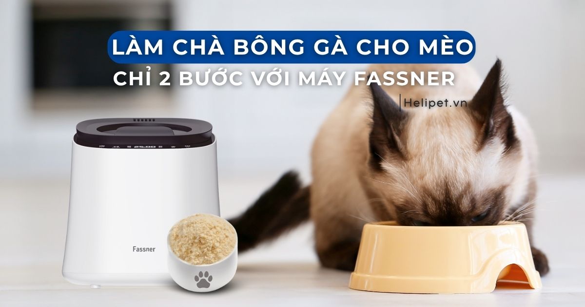 Cách Làm Chà Bông Gà Cho Mèo Bằng Máy Fassner – 2 Bước Dễ Làm, Chuẩn Dinh Dưỡng