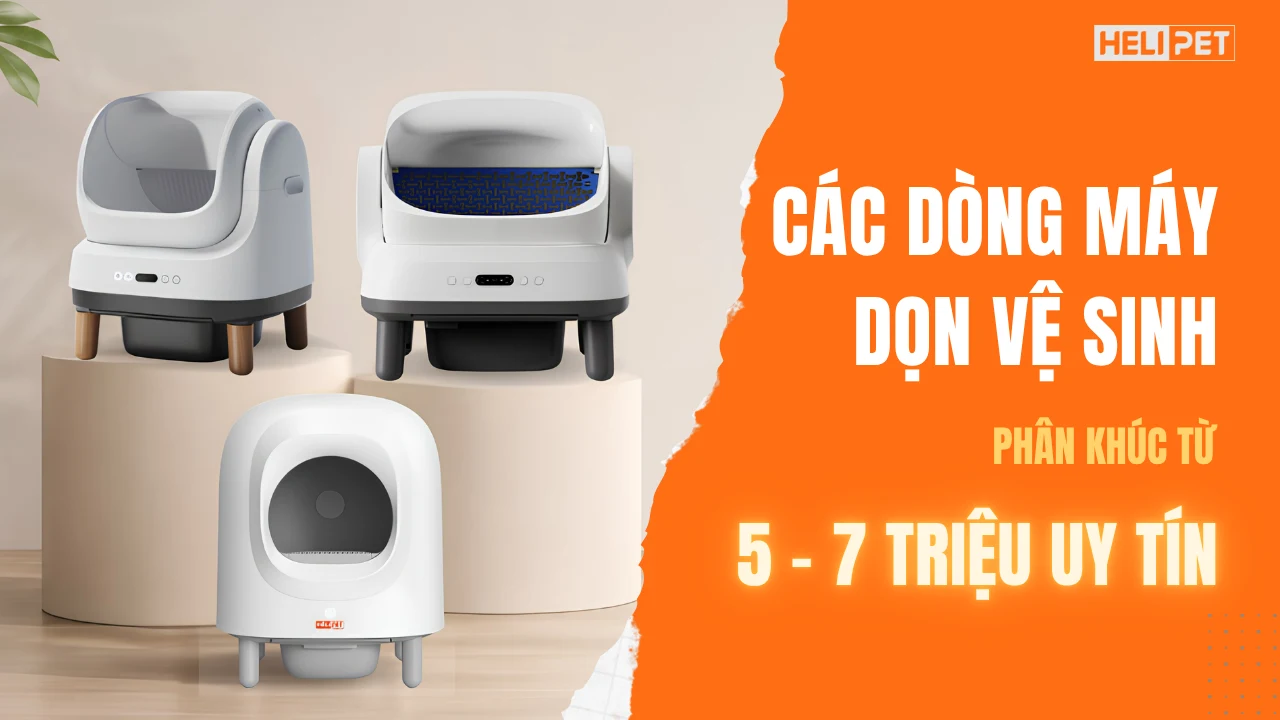 Các dòng máy dọn vệ sinh phân khúc từ 5 - 7 triệu uy tín