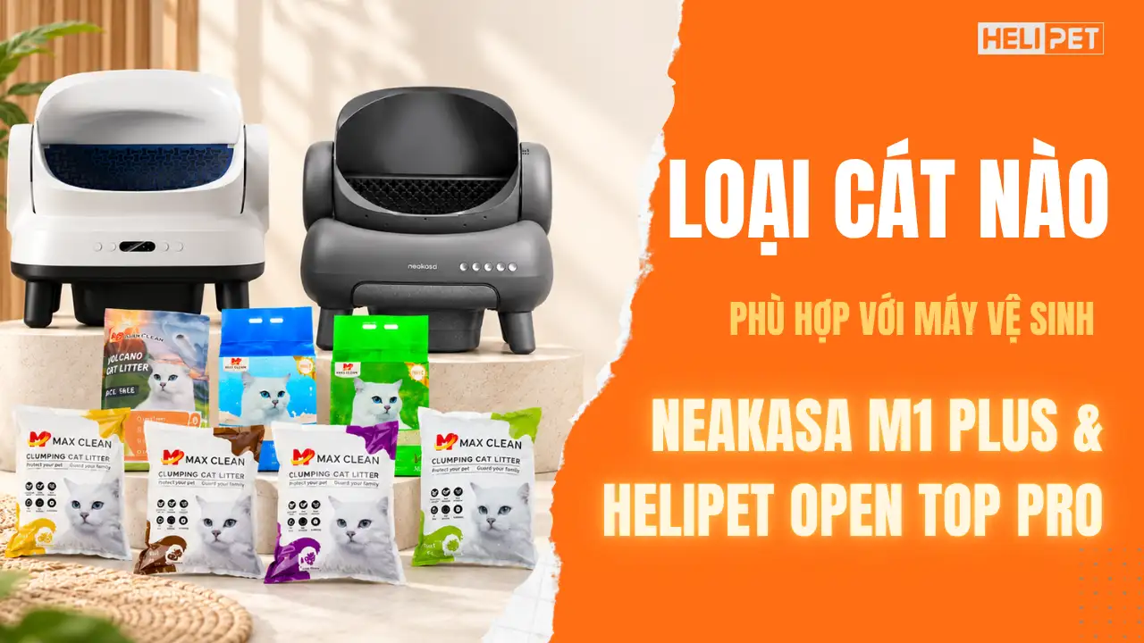 Nên dùng loại cát nào cho máy dọn vệ sinh mèo HeLiPet Open Top Pro và Neakasa M1 Plus?
