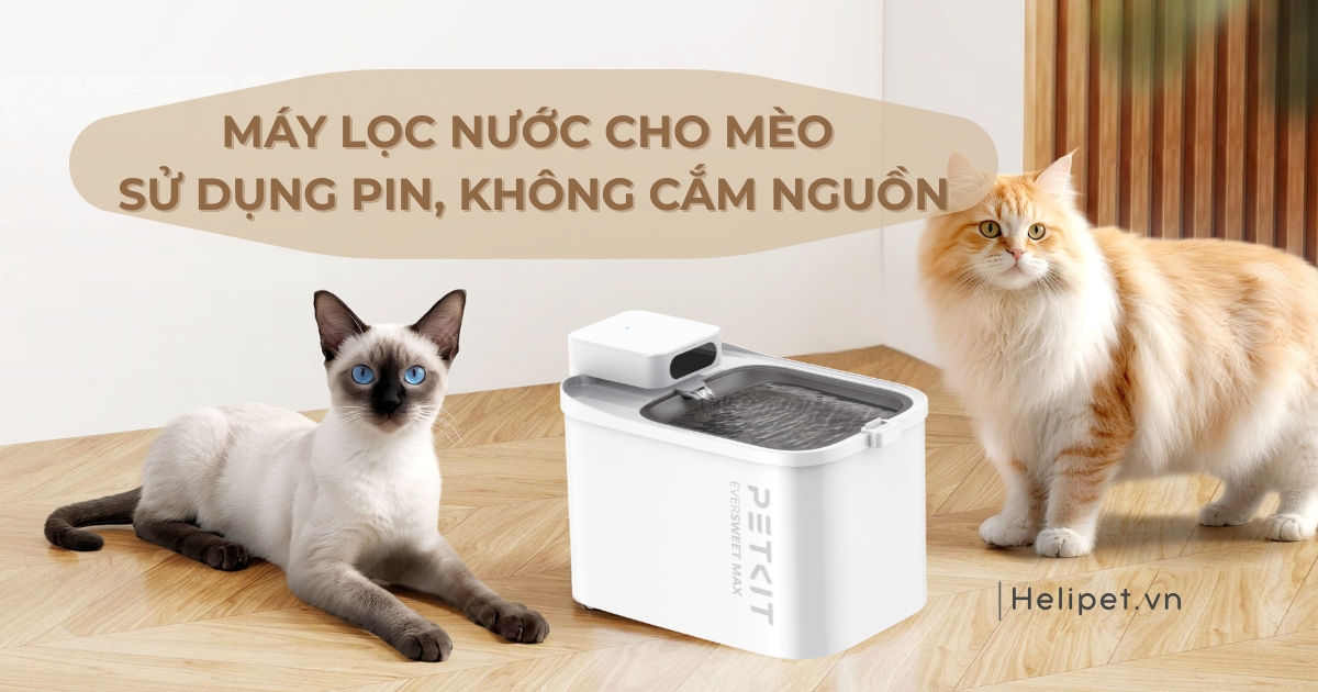 Máy lọc nước cho mèo sử dụng pin, hoàn toàn không cắm nguồn