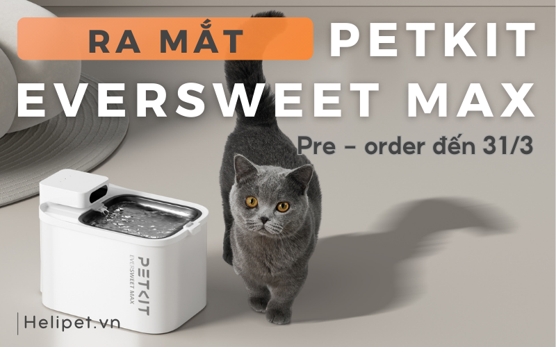 Máy lọc nước cho thú cưng PETKIT EVERSWEET MAX lộ diện với những công nghệ mới