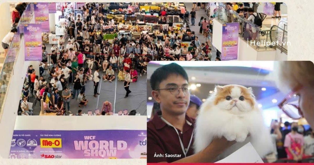 🐾PETKIT x DrVET đồng hành cùng MEGA CAT FEST 2025 – Lễ hội mèo lớn nhất Việt Nam