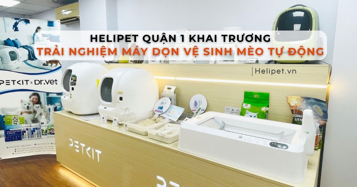 HeLiPet Quận 1 Khai Trương: Nơi Trải Nghiệm Máy Vệ Sinh Mèo Tự Động Công Nghệ Cao