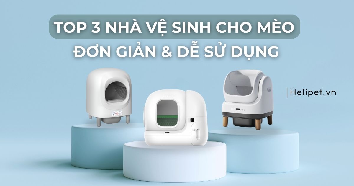 Top 3 nhà vệ sinh cho mèo đơn giản & dễ sử dụng - Phù hợp mọi gia đình