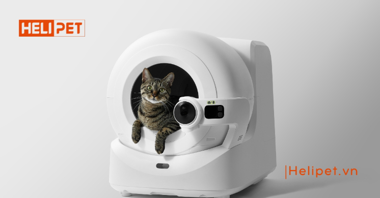Máy dọn vệ sinh mèo là gì? Có nên đầu tư cho Boss không