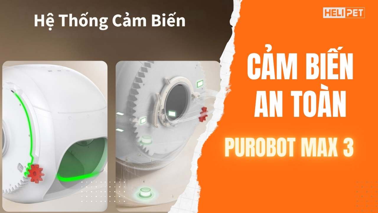 Máy vệ sinh cho mèo Purobot Max 3 có an toàn không?