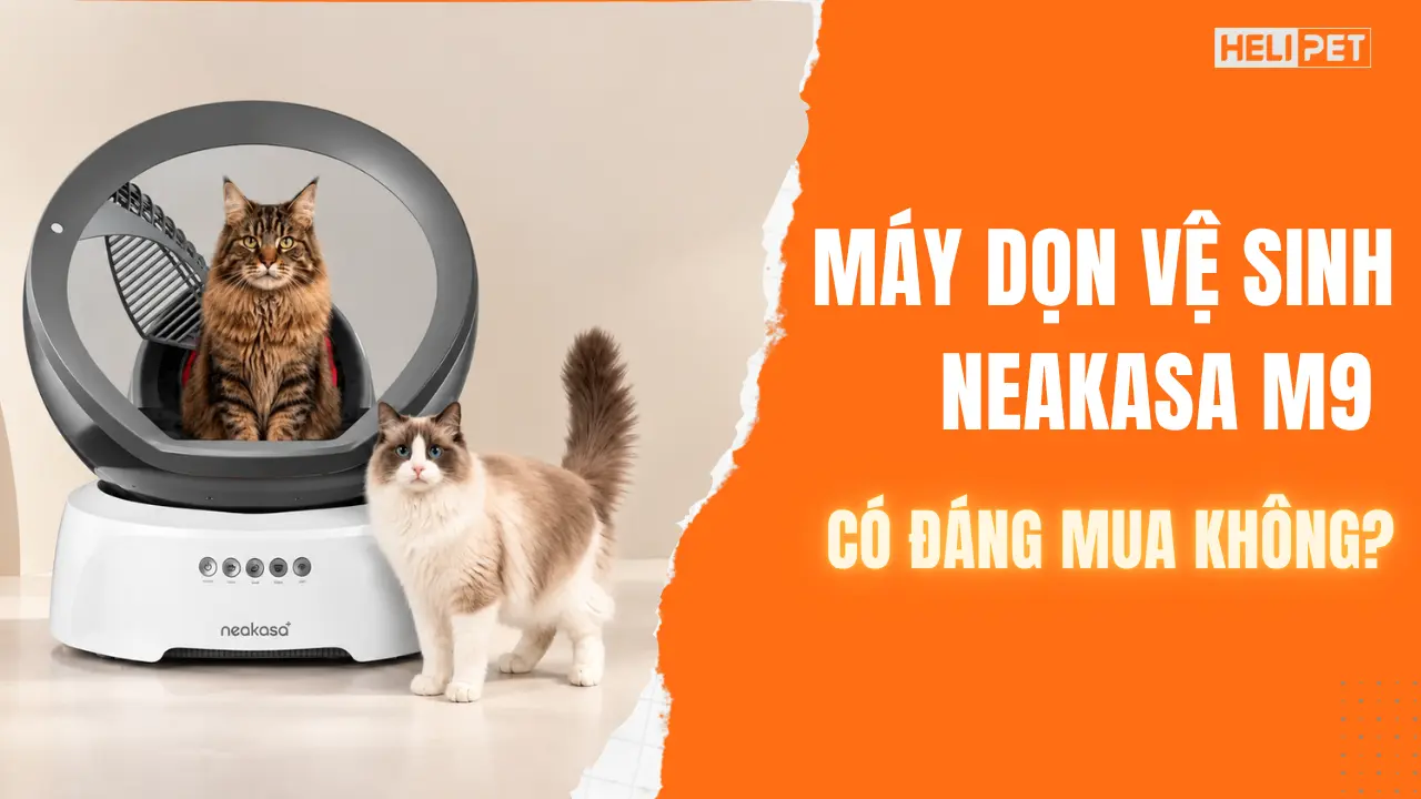 Máy dọn vệ sinh cho mèo Neakasa M9 có đáng mua không?