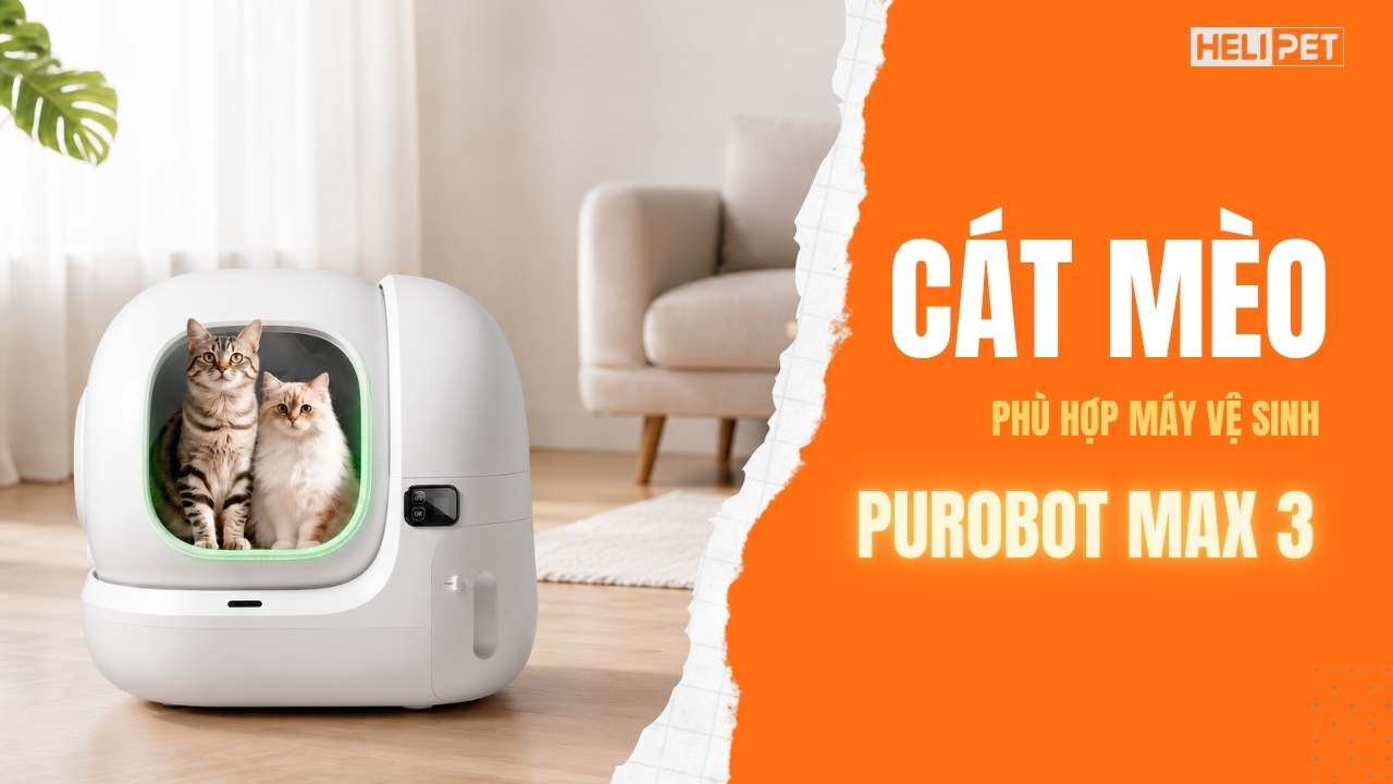 Máy vệ sinh Purobot Max 3 phù hợp cát mèo nào?