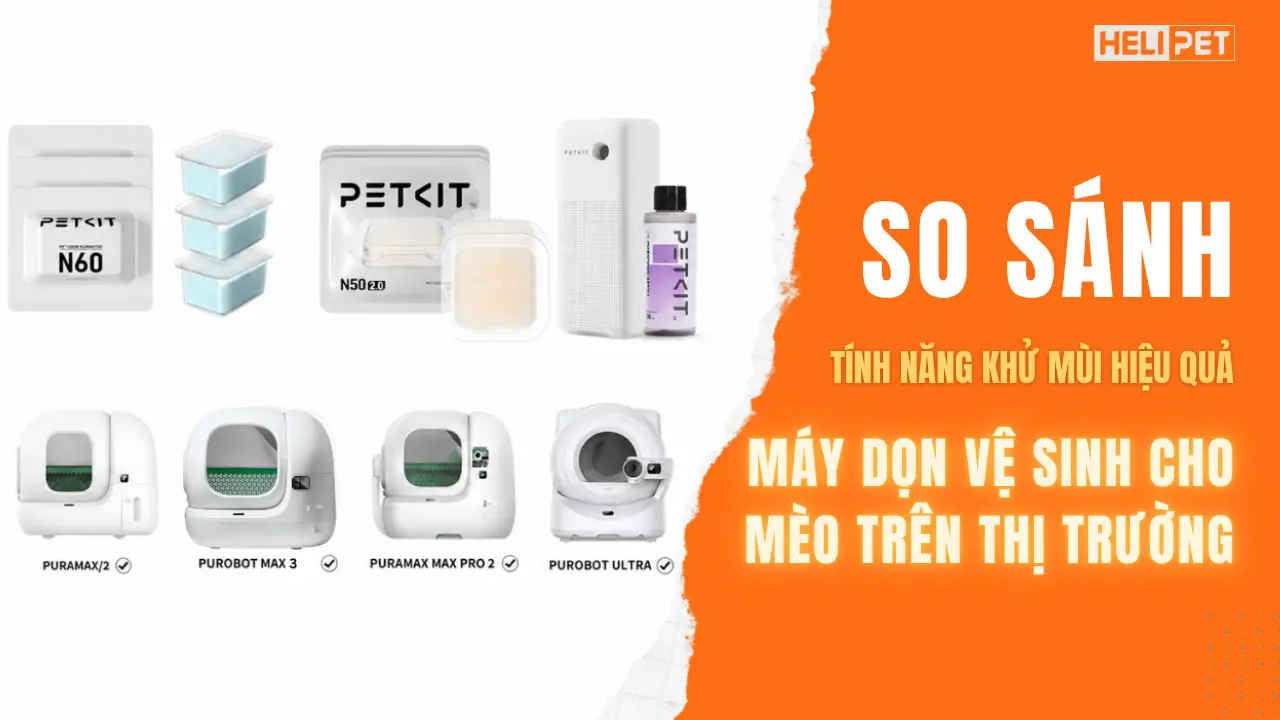 So sánh tính năng khử mùi hiệu quả máy dọn vệ sinh trên thị trường
