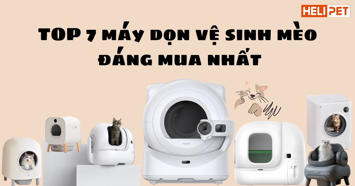 TOP 7 máy dọn phân mèo đáng mua nhất 2024
