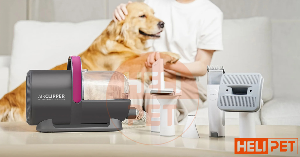 Máy chải hút lông chó mèo PETKIT 5in1 tiện lợi cho các “sen”