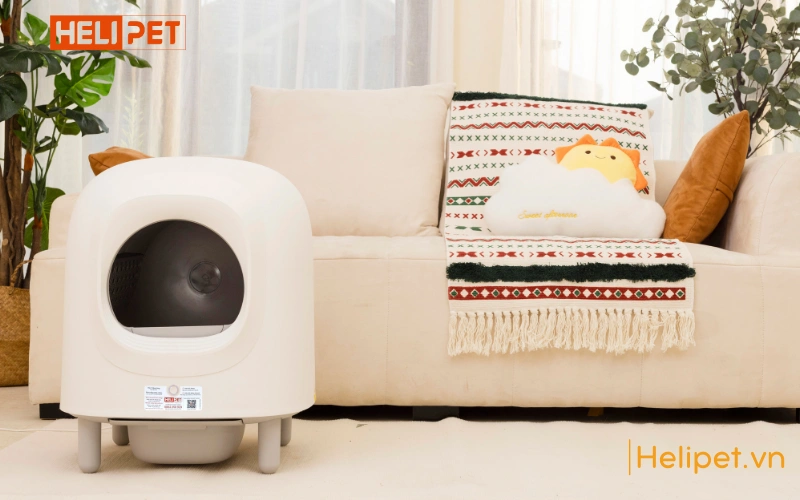 Máy dọn vệ sinh cho mèo PETREE x HELIPET 2024