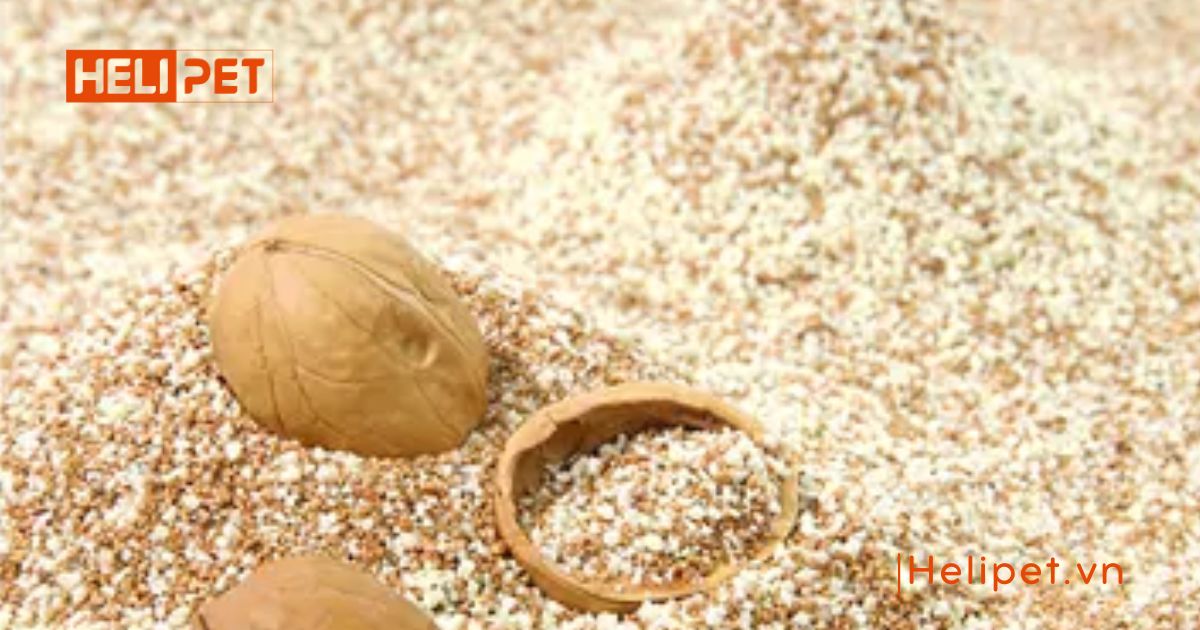 Cát mèo từ vỏ hạt óc chó 