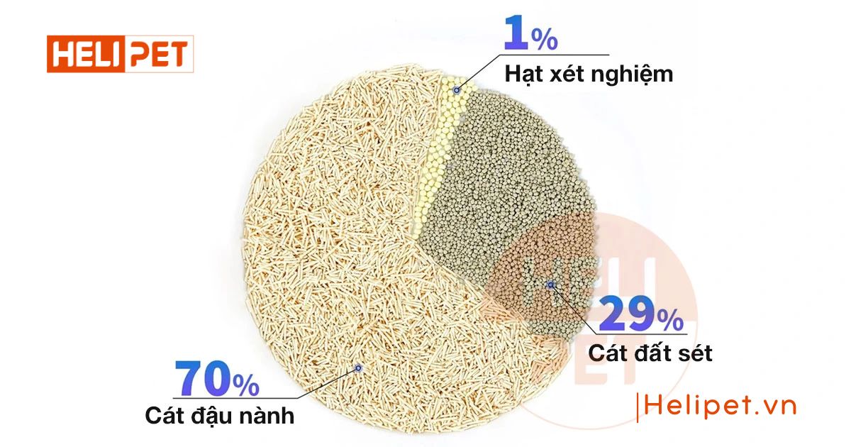 Cát mèo phát hiện máu