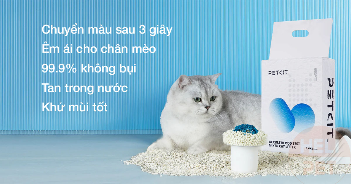 cát phát hiện máu petkit