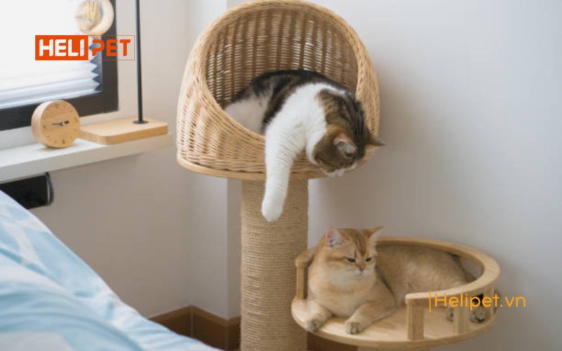 Nhà cây cho mèo - cat tree