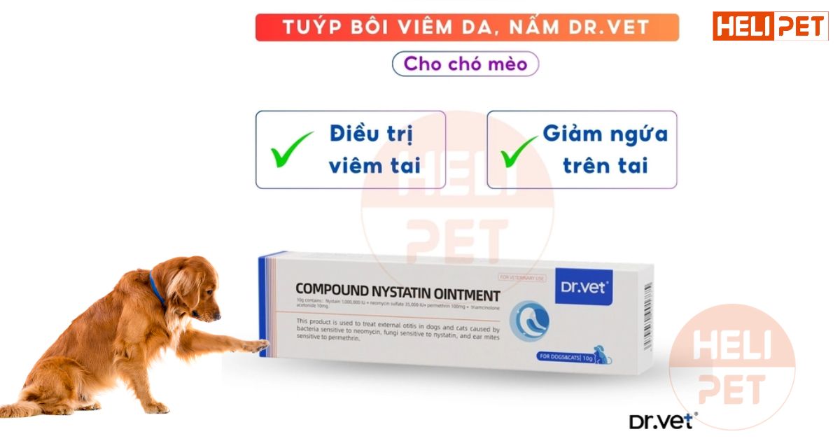 Chó bị rận tai