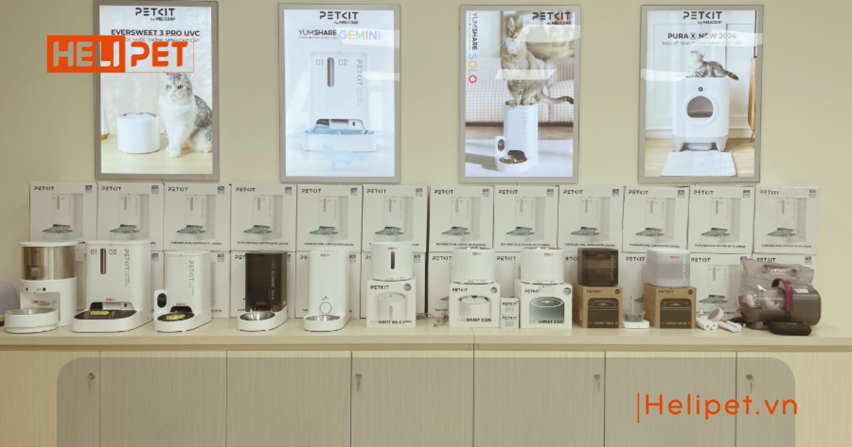 Cửa hàng bán cát vệ sinh cho mèo Hà Nội uy tín