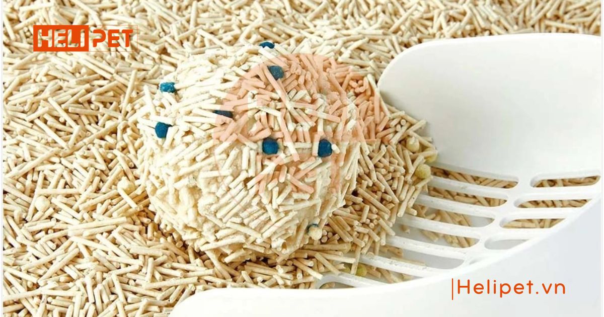 Cát mèo phát hiện máu PETKIT nhận biết dấu hiệu bệnh thông qua phân và nước tiểu