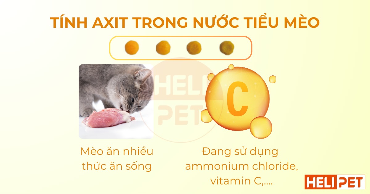 hạt kiểm tra độ pH trong nước tiểu mèo Dr.Vet