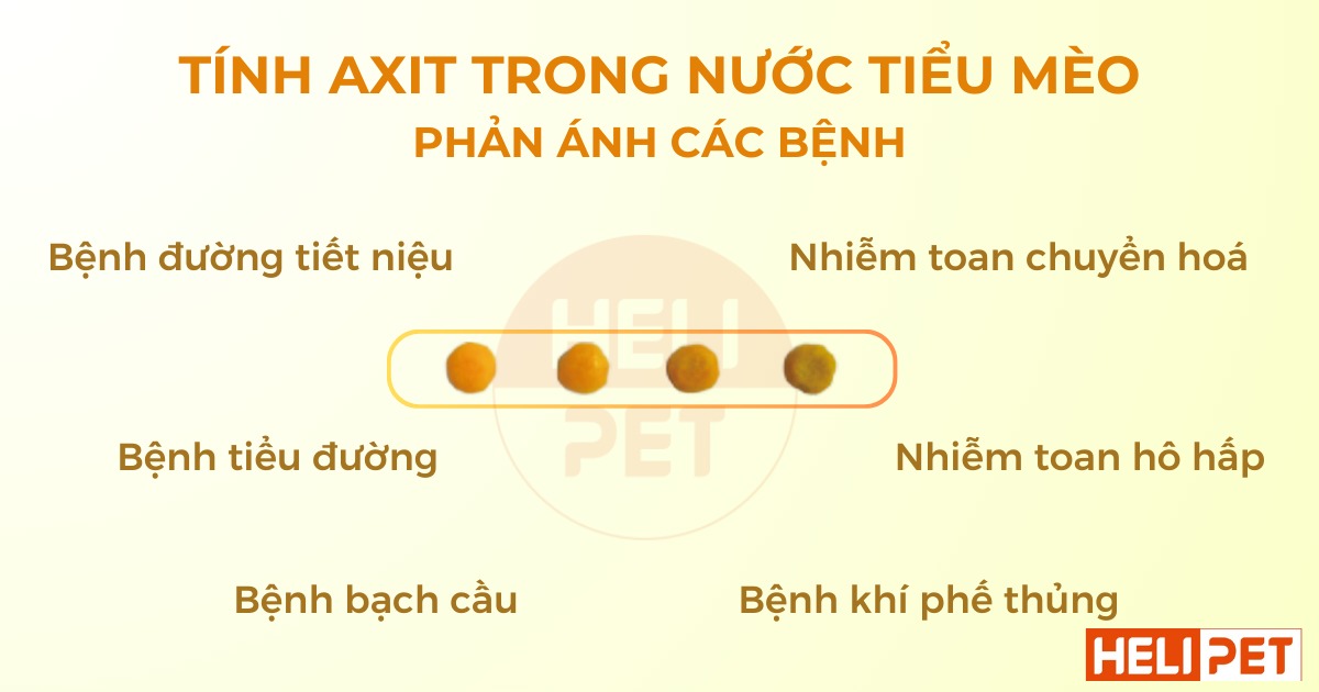 hạt kiểm tra độ pH trong nước tiểu mèo Dr.Vet
