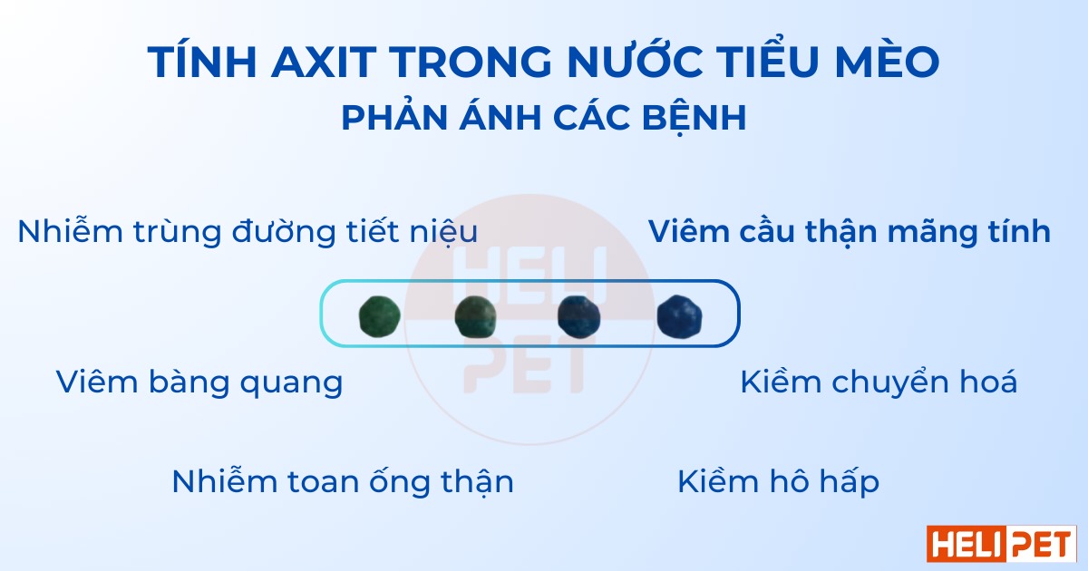 hạt kiểm tra độ pH trong nước tiểu mèo Dr.Vet