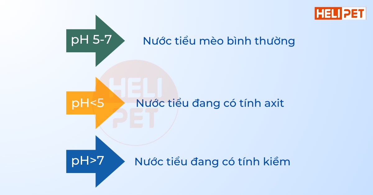 hạt kiểm tra độ pH trong nước tiểu mèo Dr.Vet