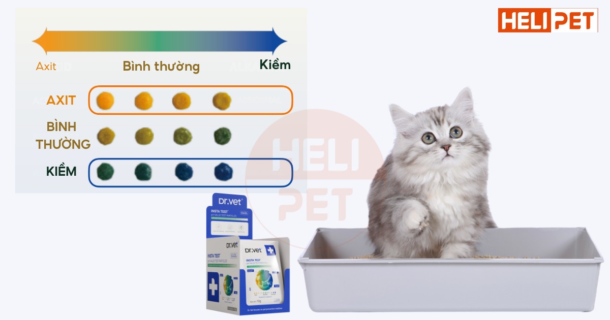 hạt kiểm tra độ pH trong nước tiểu mèo Dr.Vet