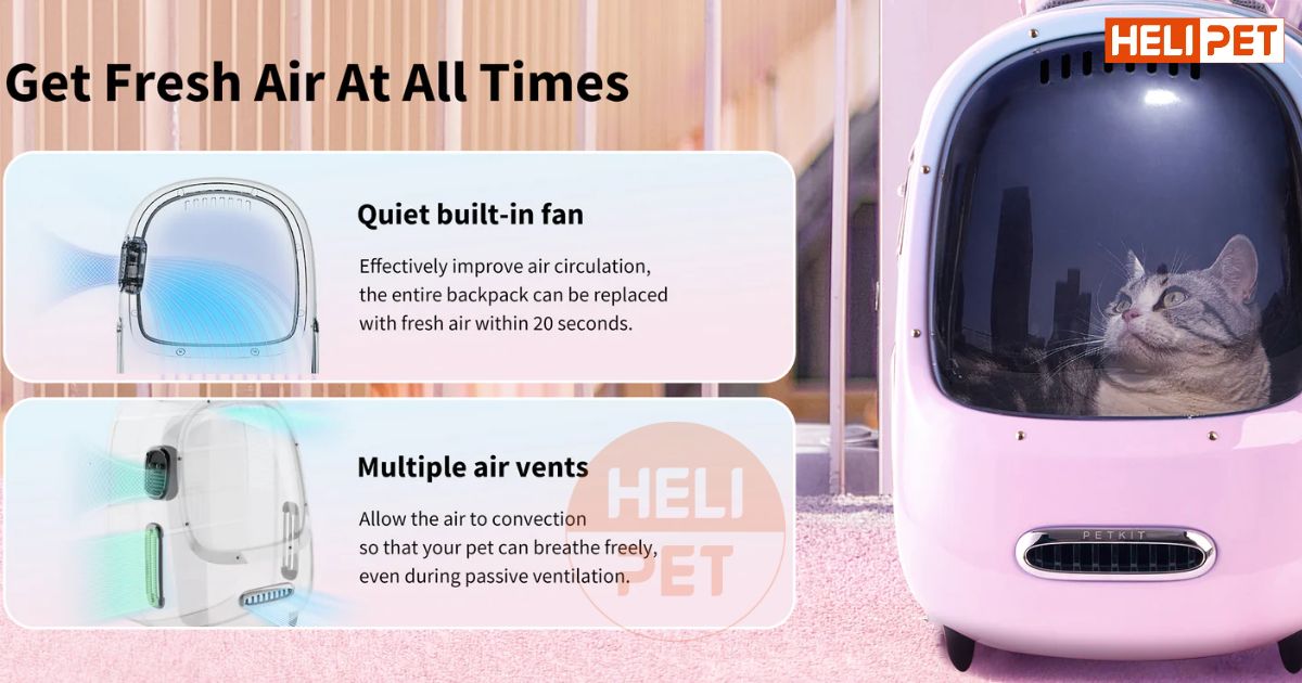 Đưa Boss đi dạo tiện lợi và không làm khó chịu cho Boss với Petkit Breezy Dome 2