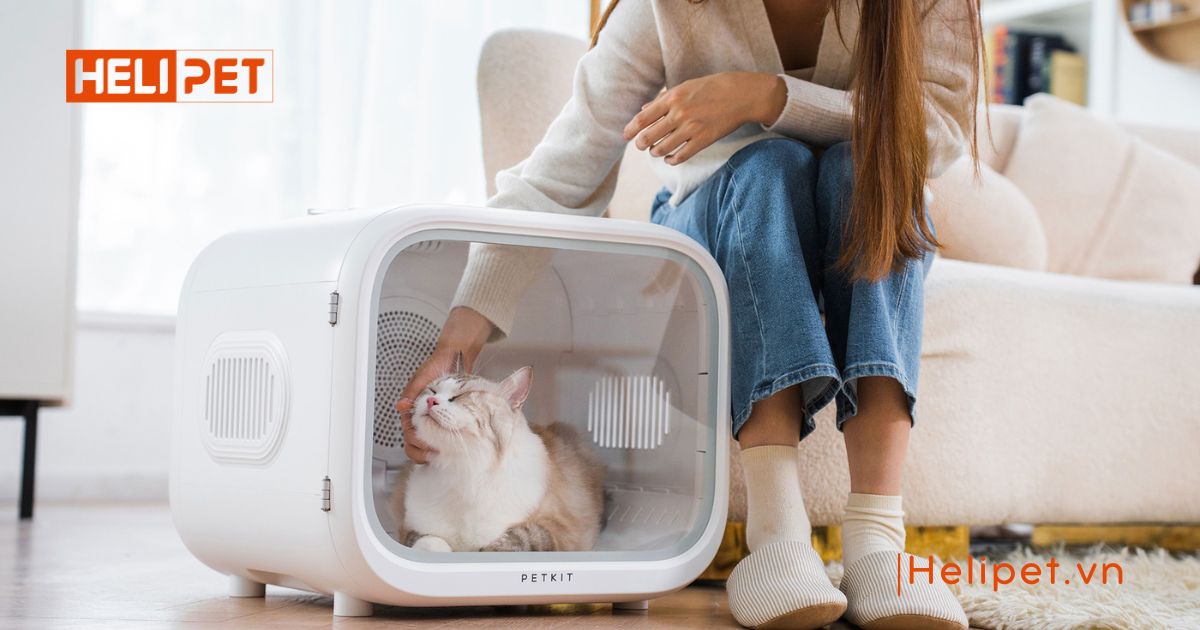 lồng sấy lông chó mèo