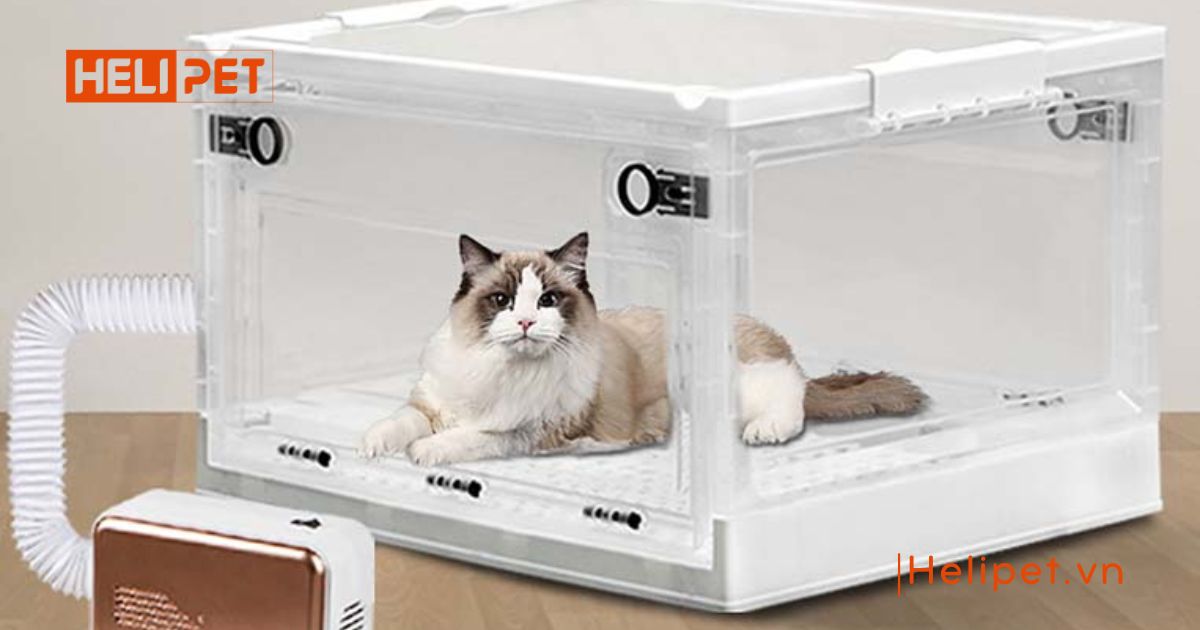 Lồng sấy mèo MASTI 
