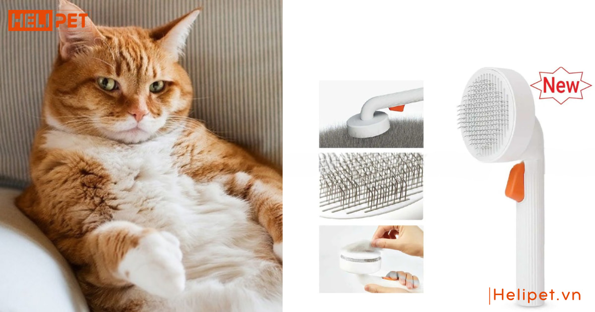 Lược chải lông chó mèo Petkit Pro