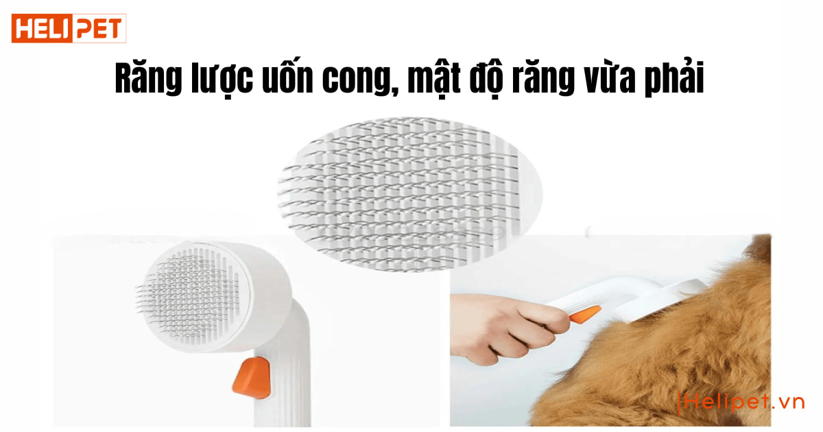 Lược chải lông chó mèo Petkit Pro