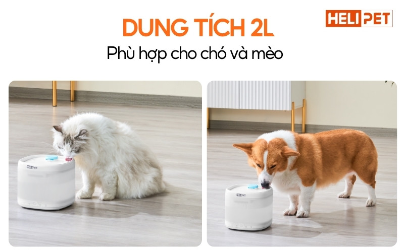 Máy lọc nước cho chó mèo HELIPET PURE 3